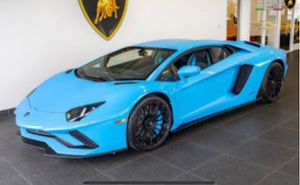 Meet your Posher, Teddy